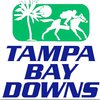 Tampa